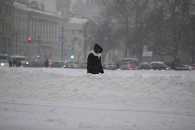 «Желтый» уровень опасности из-за снегопада объявили в Петербурге