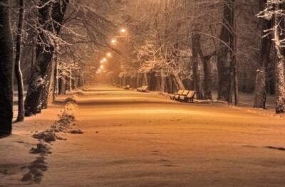 МЧС опубликовало экстренное предупреждение о сильном снегопаде в Ленобласти