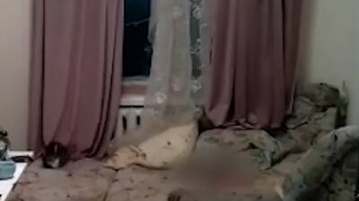 СКР показал видео с места убийства ребенка в Костроме