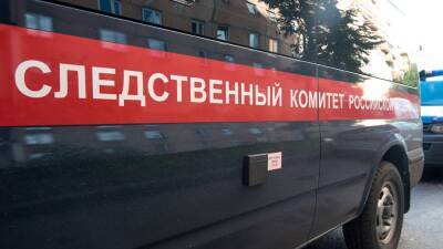 Следственный комитет возбудил уловное дело по факту убийства 5-летней девочки в Костроме