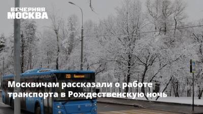 Москвичам рассказали о работе транспорта в Рождественскую ночь