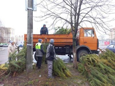 В Одессе торговцы облили соляркой почти 3 тысяч непроданных елок