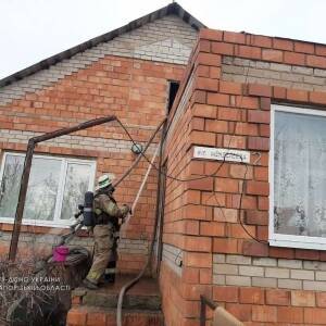 В Запорожской области ликвидировали пожар в частном доме. Фото