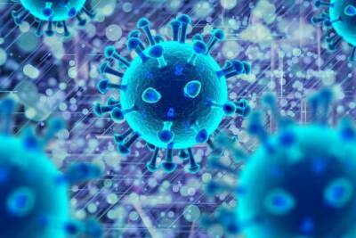 В Мурманской области за сутки выявили 98 случаев заражения коронавирусом