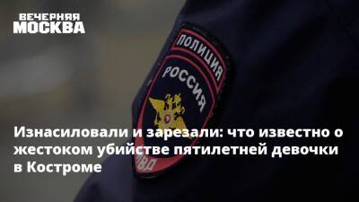 Изнасиловали и зарезали: что известно о жестоком убийстве пятилетней девочки в Костроме