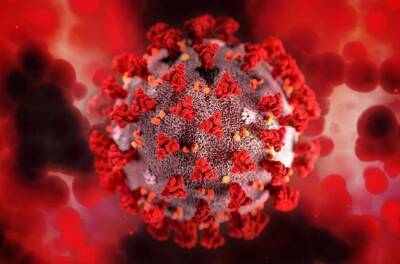 Ученые нашли способ повысить иммунитет против Омикрона