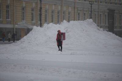 Петербуржцы раскритиковали Смольный за некачественную уборку снега