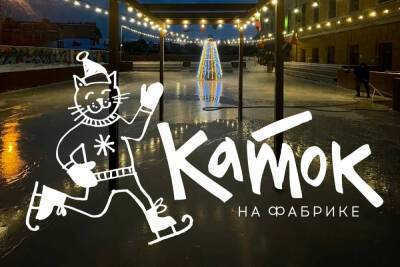 Рязанцы могут покататься на коньках с видом на Кремль