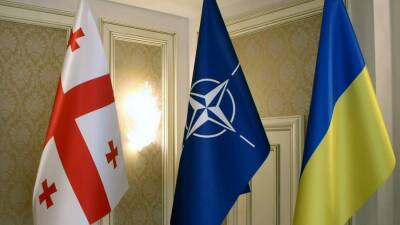 Бывший генсек НАТО предложил способ принять Украину и Грузию в альянс