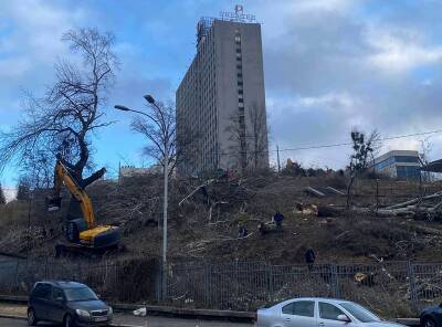 Семья бизнесмена "из 90-х" вырубила деревья на склоне возле "Олимпийского" для строительства 30-этажки