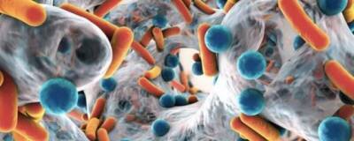 Перечень бактерий и вирусов на коже человека вырос на 26%