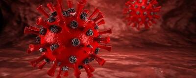 В Тамбовской области коронавирусом за сутки заболели 14 детей