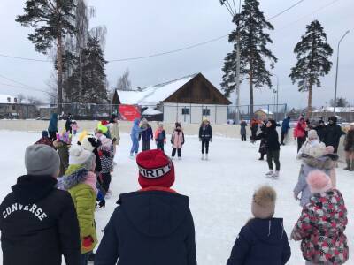 В городском парке Электрогорска прошла костюмированная дискотека на льду - runews24.ru - Электрогорск