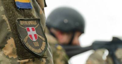 Стало известно, сколько украинцев поддерживают создание войск терробороны - dsnews.ua - Украина - Киев