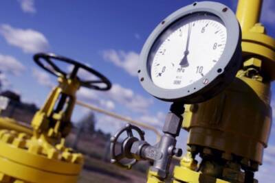 Украина в 2021 году сократила импорт газа из Евросоюза в 6 раз