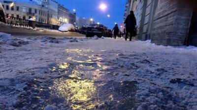 Власти Петербурга отказались от экологичных реагентов в пользу малоэффективной соли