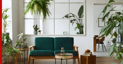 Озеленяем квартиру: 6 необычных мест для комнатных растений
