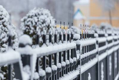 До +2 градусов прогнозируют псковские синоптики 6 января