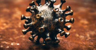 Новый вариант коронавируса из Франции: что о нем известно