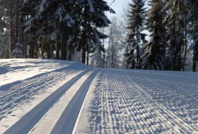 В Выборгском районе Ленобласти мужчина пропал во время лыжной прогулки