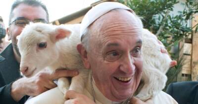 Папа Римский раскритиковал людей, которые заводят домашних животных вместо детей (видео)