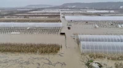 Паводок на Закарпатье: подтоплены более 300 дворохозяйств, дороги и теплицы