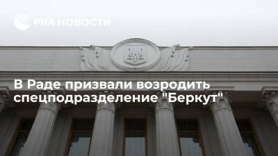 Депутат Рады Кива призвал возродить спецподразделение "Беркут"