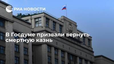 Депутат Госдумы Хамзаев: нужно вернуть смертную казнь для педофилов, рецидивистов и убийц