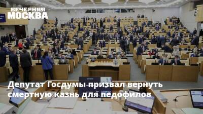 Депутат Госдумы призвал вернуть смертную казнь для педофилов