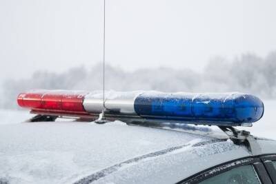Полицейские в Корсакове не дали замерзнуть на дороге автоледи с ребенком