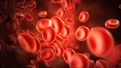 Люди с какой группой крови предрасположены к развитию онкологии