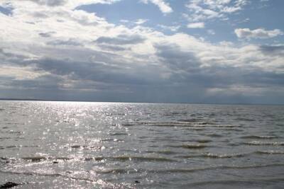 Торейские озёра могут полностью наполниться за 10 лет — эколог
