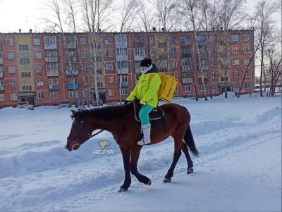 Под Новосибирском курьер «Яндекса» доставляет заказы верхом на лошади