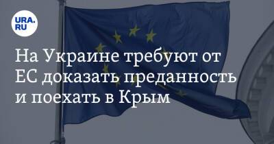 На Украине требуют от ЕС доказать преданность и поехать в Крым