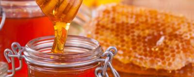 Андрей Золотарев - Диетолог Золотарев рекомендовал не употреблять мед в холодное время года - runews24.ru
