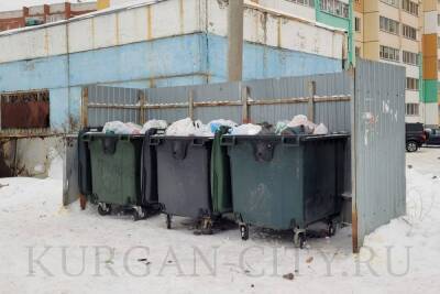 Квартальные выявили переполненные мусором контейнеры в Кургане