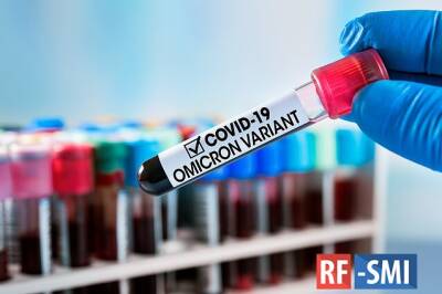 Врач оценил риск повторного заражения коронавирусом после "омикрона"