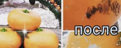 Пьяные вандалы повредили новогодние декорации в Детском парке Орла - runews24.ru - Орла