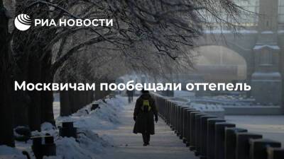 Синоптик Тишковец: в Москве ожидаются облачность, снег и потепление до нуля градусов