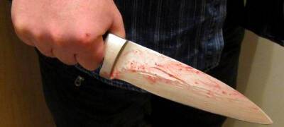 Житель Карелии напал с ножом на соседа из-за настойчивого стука в дверь - stolicaonego.ru - район Олонецкий - республика Карелия