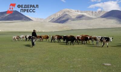 В Казахстане ввели госрегулирование цен и запрет на вывоз продукции