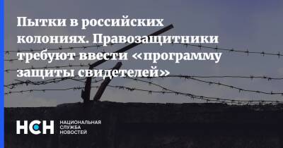 Пытки в российских колониях. Правозащитники требуют ввести «программу защиты свидетелей»
