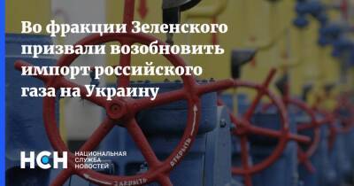 Во фракции Зеленского призвали возобновить импорт российского газа на Украину