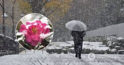 Снег в Японии – Токио заметает снегом, отменены рейсы – фото и видео