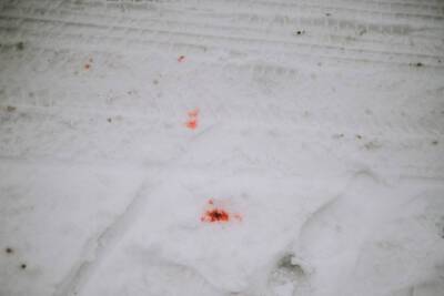 В новогодние праздники в Астрахани произошло убийство