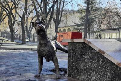 Памятник писающему псу установили в Кисловодске
