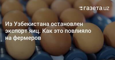 Из Узбекистана остановлен экспорт яиц. Как это повлияло на фермеров