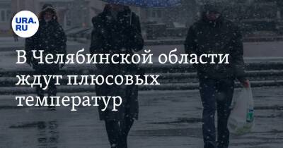 В Челябинской области ждут плюсовых температур