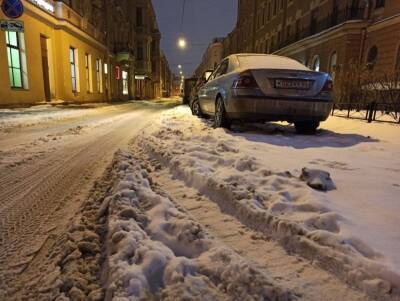 Жители Петербурга назвали главную опасность «температурных качелей» зимой