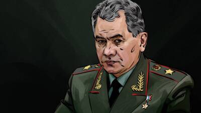 Минобороны РФ сообщило о переговорах Шойгу и главы Пентагона по вопросам безопасности